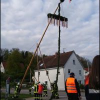 2022-04-26_Bild_Maibaum Donaurieden